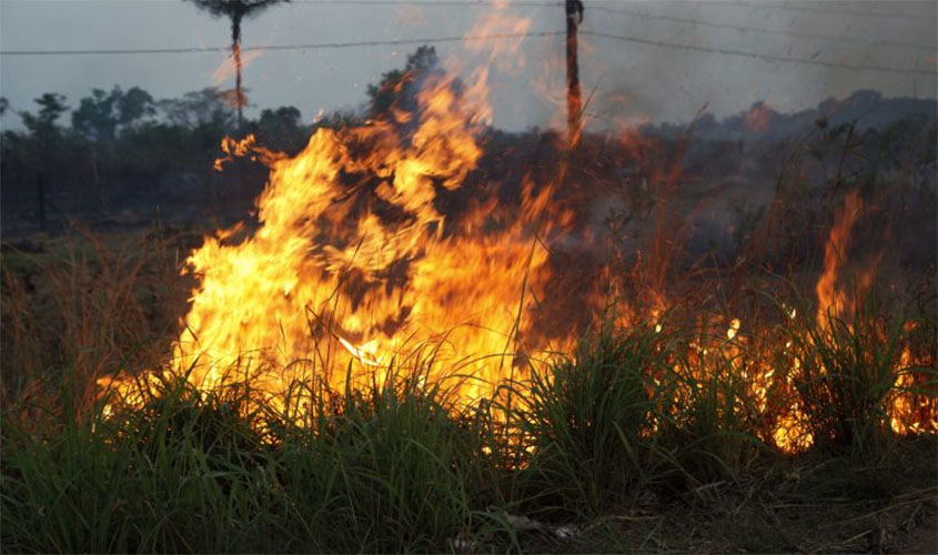 Portaria suspende por 30 dias uso do fogo controlado para limpeza de áreas em Rondônia