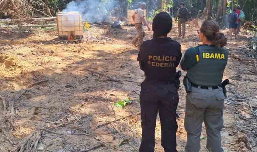 PF deflagra a Operação Xalawata em combate a crimes ambientais em RO