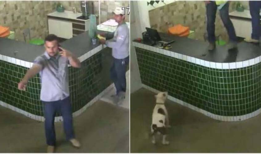 Vídeo de pit bull invadindo loja em cidade de Rondônia viraliza e tem final surpreendente