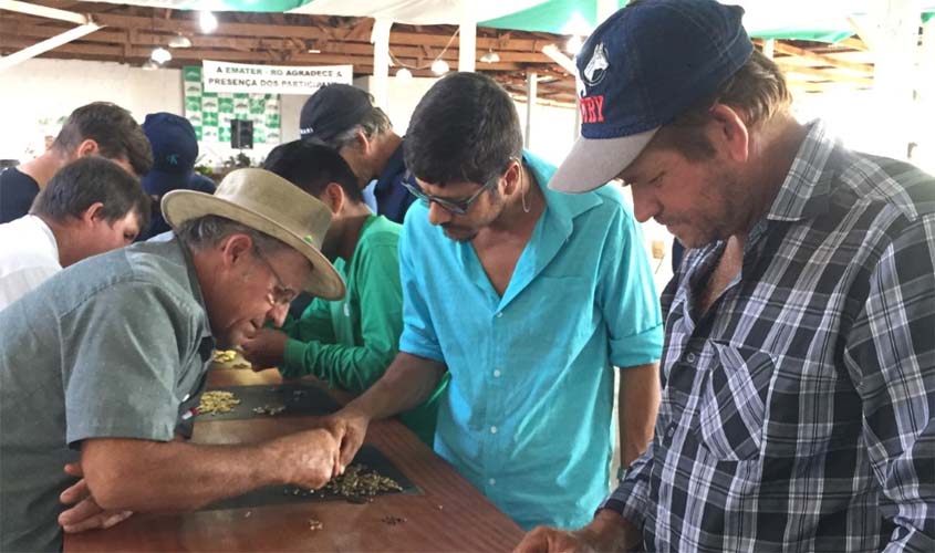 Cafeicultores de Rondônia são capacitados em Classificação Física e Análise Sensorial do Café