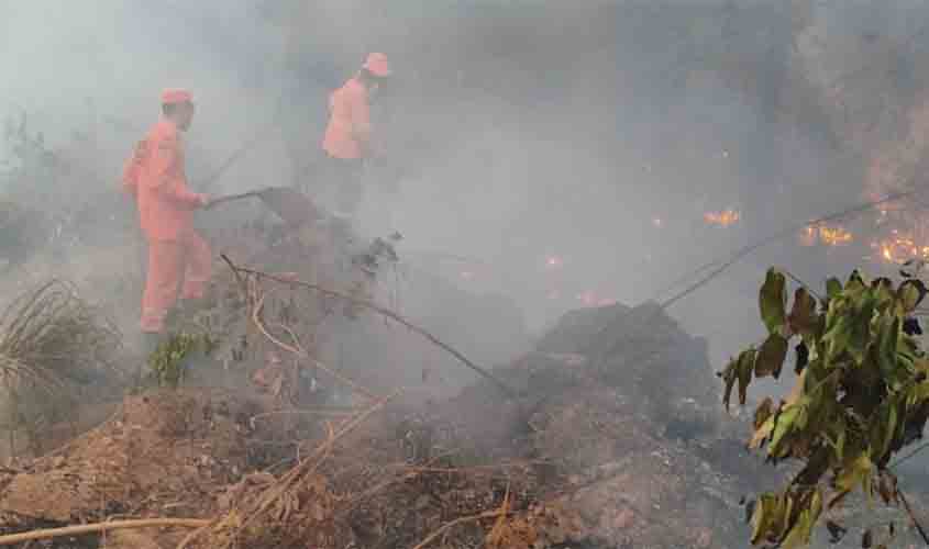 Projetos que liberam mais de R$ 26 milhões para bombeiros atuarem contra queimadas são aprovados na Alero