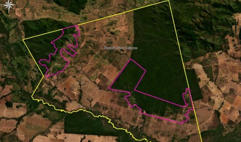 JBS é ligada a 'lavagem de gado' na Amazônia, diz Greenpeace