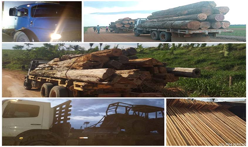Madeireiros clandestinos são apresentados em juízo por transporte irregular de madeira