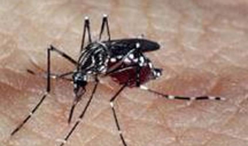 Porto Velho está entre as capitais que estão em alerta para dengue, zika e chikungunya