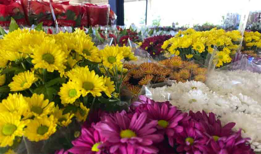 Festival de Flores de Holambra chega a Porto Velho e já encanta visitantes