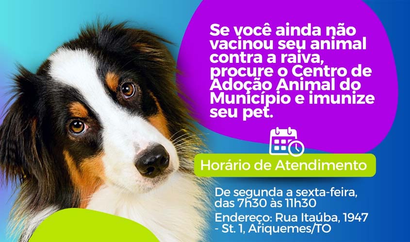 Centro de Adoção de animais oferta vacinação antirrábica 