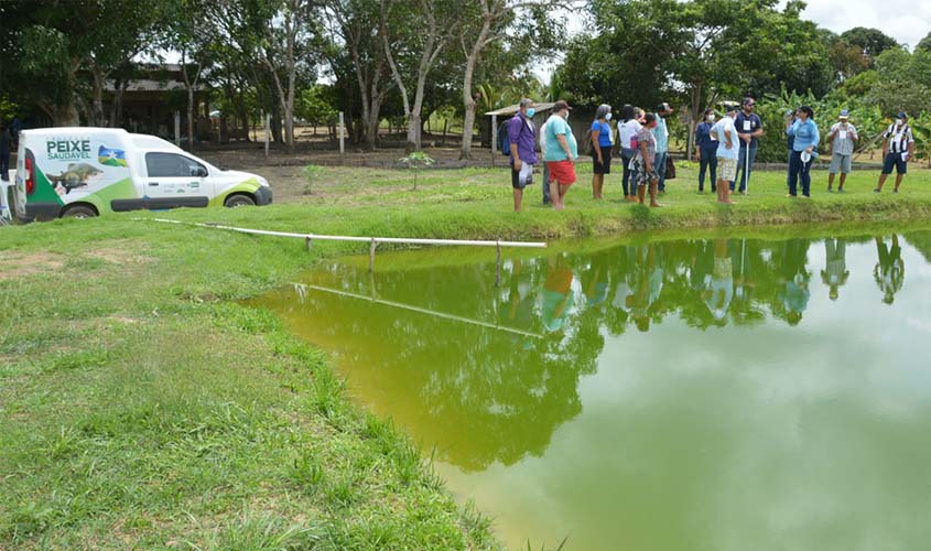 Governo de Rondônia garante a regularidade da oferta de peixes durante o período de defeso