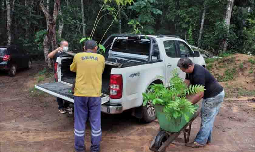 Em ação estratégica, 1.500 plantas são entregues pelo Viveiro Municipal