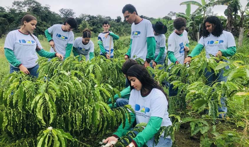 Formação técnica fortalece agricultura familiar em RO