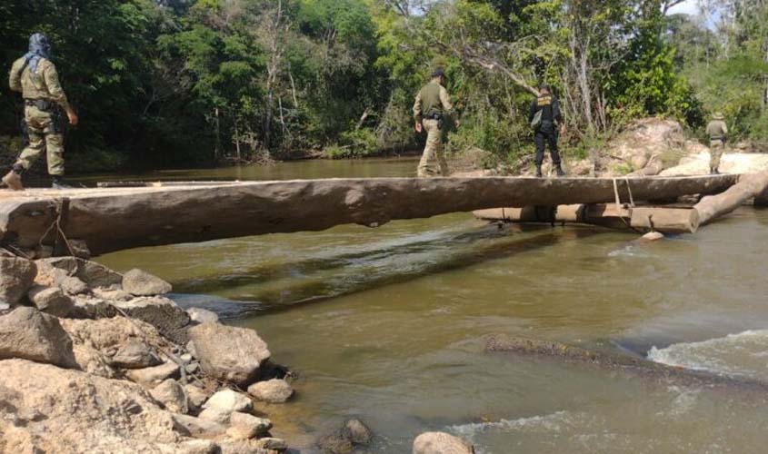  Polícia Federal deflagra operação ANHANGÁ para combater crimes ambientais em Rondônia