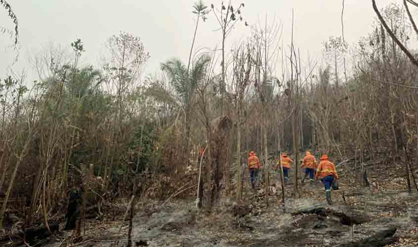 Após solicitação de Cláudia de Jesus, governo vai contratar bombeiro civil para combater incêndios