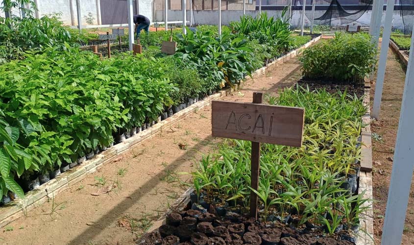 Viveiro florestal é entregue em Nova Mamoré com foco ambiental