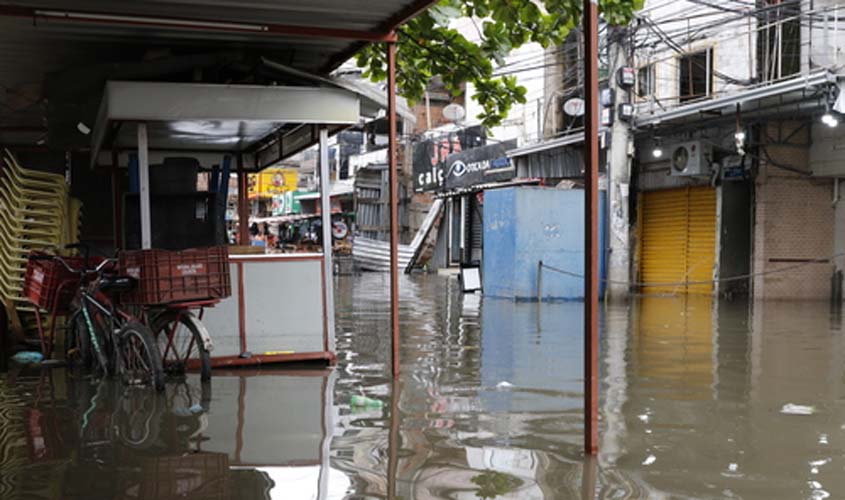 Chuvas e enchentes aumentam o risco de infestação por insetos e roedores