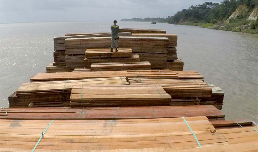 Ibama apreende balsa com 300 m³ de madeira ilegal no Rio Amazonas (AM)