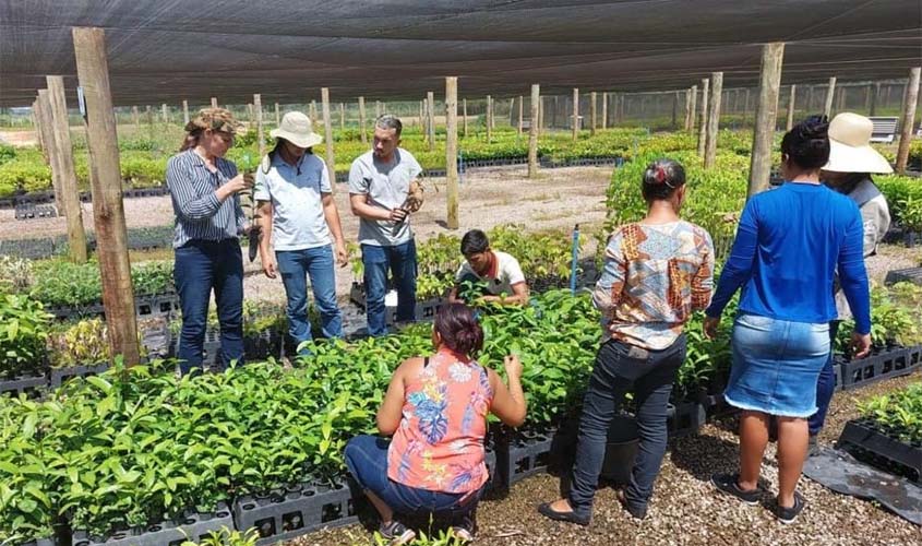 Centro de Estudos Rioterra promove capacitação sobre 'Produção de Mudas e Coleta de Sementes'