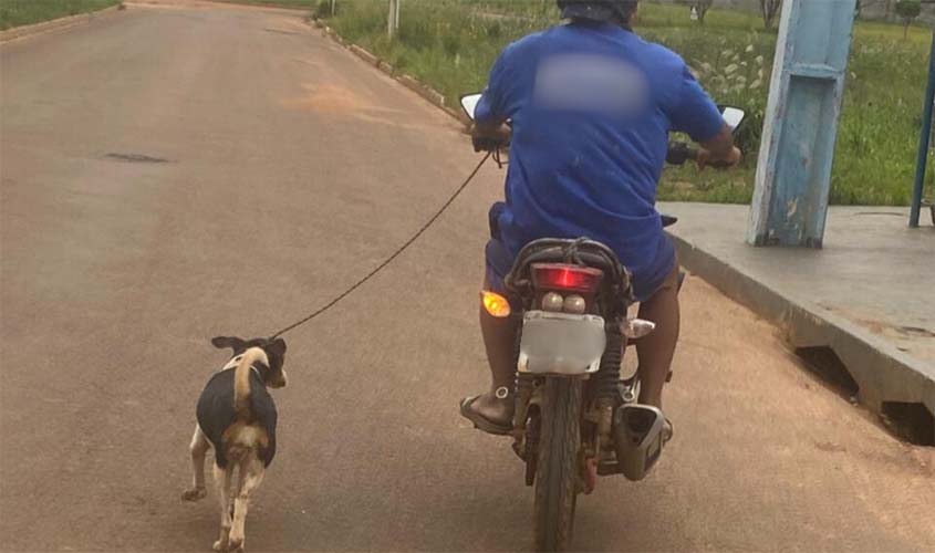 Batalhão Ambiental prende suspeito e resgata animal