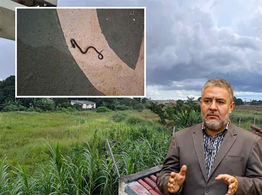 Vereador Fogaça pede limpeza de terreno baldio no bairro Floresta após denúncias de aparecimento de cobras