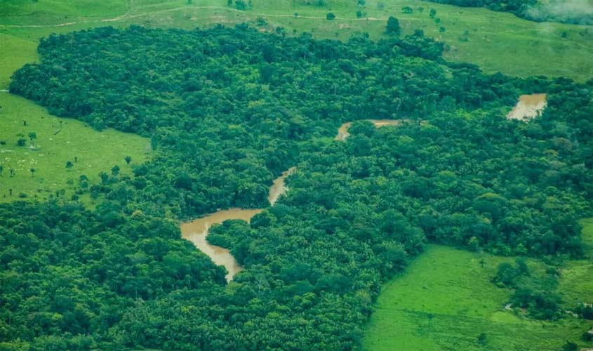 Porto Velho reduz desmatamento e avança na agenda ambiental