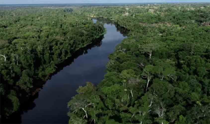 Relatório Anual aponta redução de mais de 70% no desmatamento em Rondônia