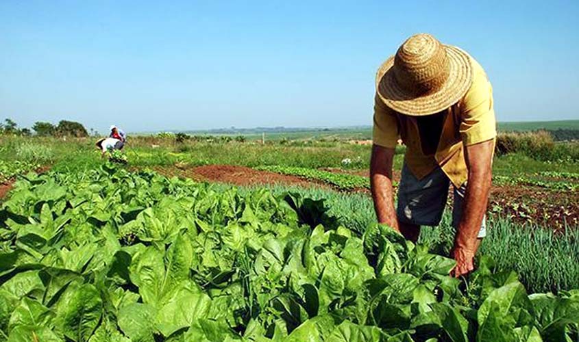 PGR recorre ao Supremo contra paralisação da reforma agrária no país