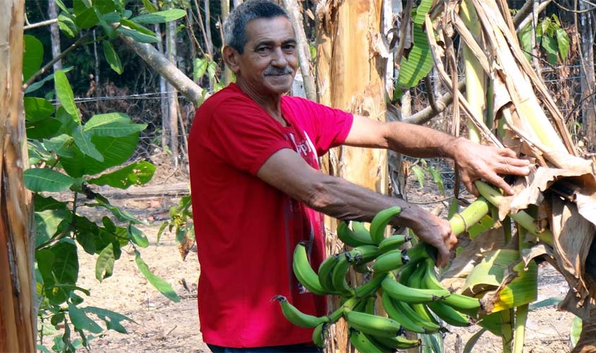 Projeto de preparação do solo melhorando a vida no campo