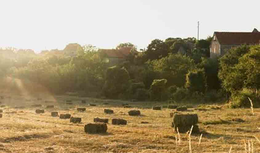 Declaração do Imposto Territorial Rural: prazo vai até 30 de setembro