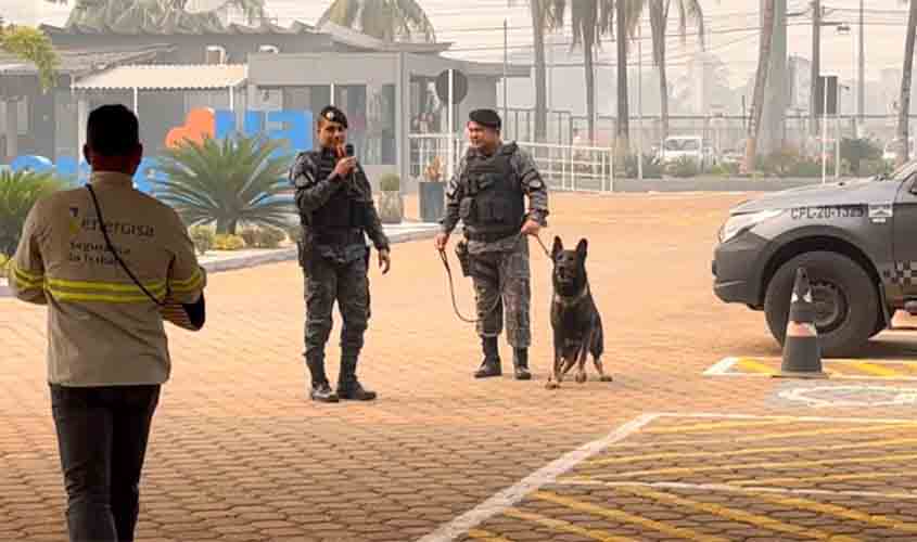 Com cão policial Derick, Polícia Militar mostra como prevenir ataques caninos 