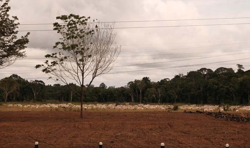 Em Rondônia, vídeos desinformam sobre demarcação de terras indígenas para virar voto para Bolsonaro