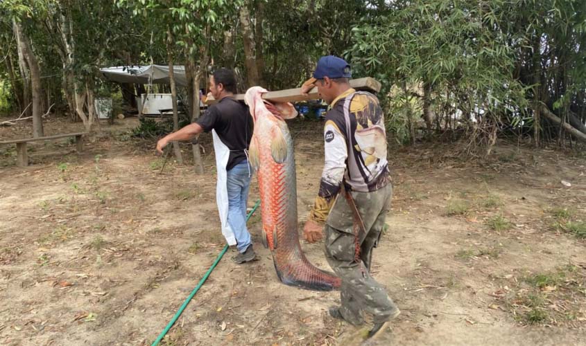 Reserva Pedras Negras recebe ações de manejo do pirarucu
