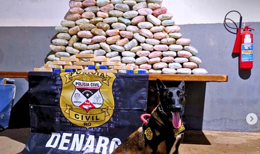 Polícia Civil faz apreensão de drogas e armas em Porto Velho