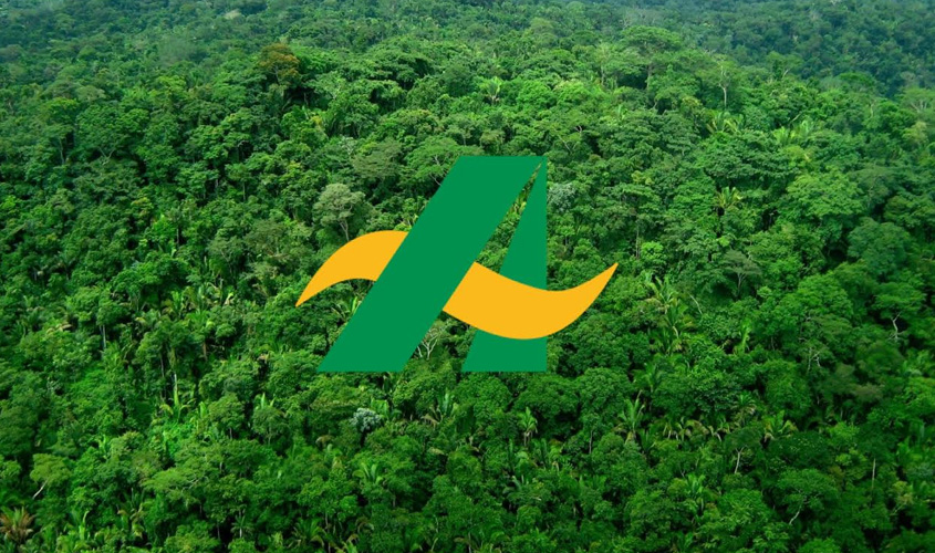 Banco da Amazônia comemora 75 anos de história