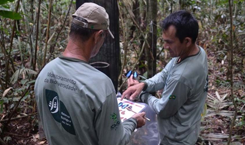 Reserva do Jaru realiza coleta de borboletas