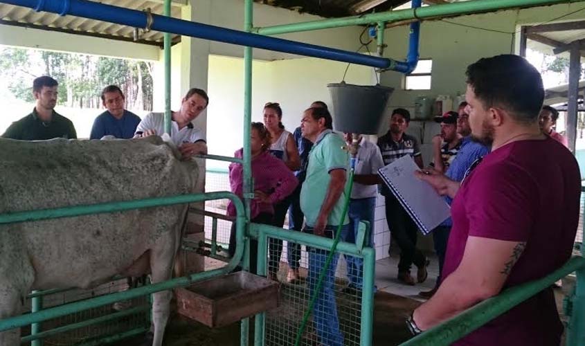 Embrapa Rondônia abre inscrições para curso gratuito em sistema de produção de leite